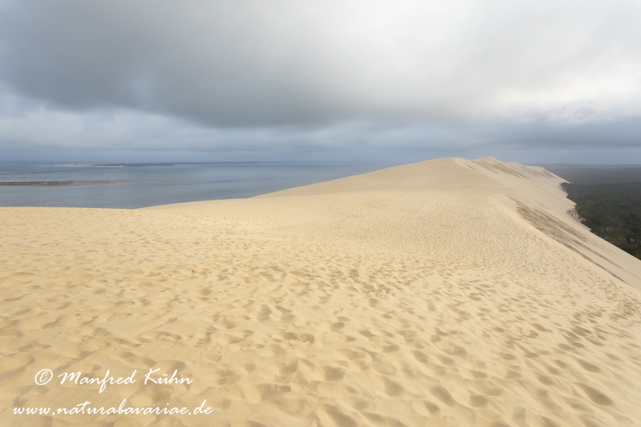 Dune du Pilat (Frankreich)_0066