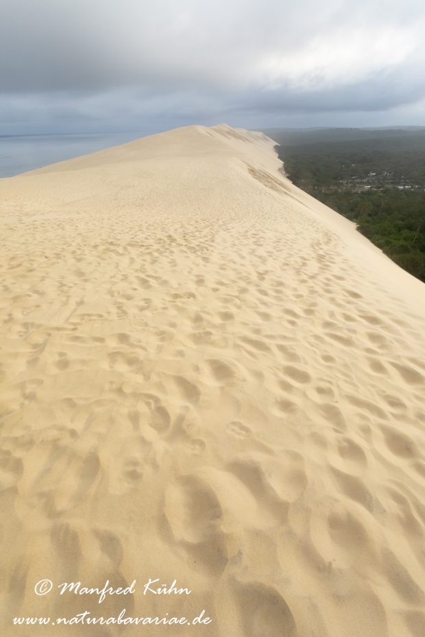 Dune du Pilat (Frankreich)_0068