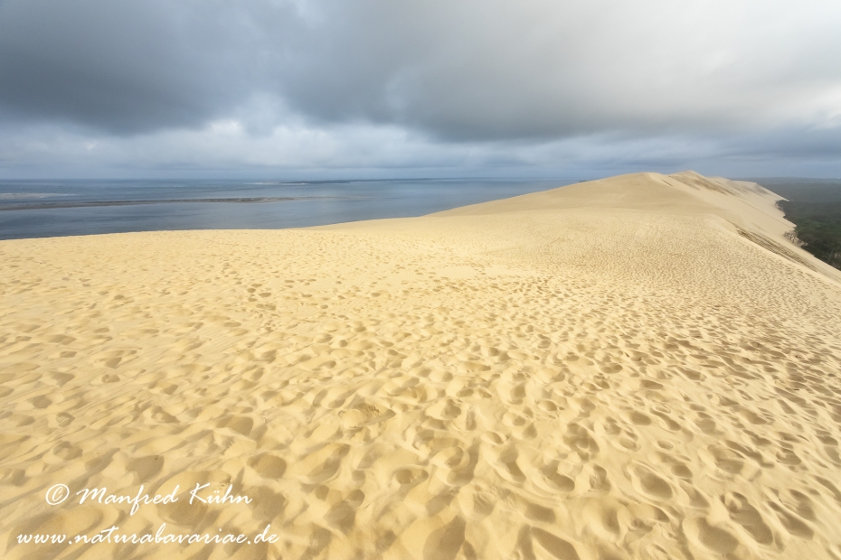Dune du Pilat (Frankreich)_0070
