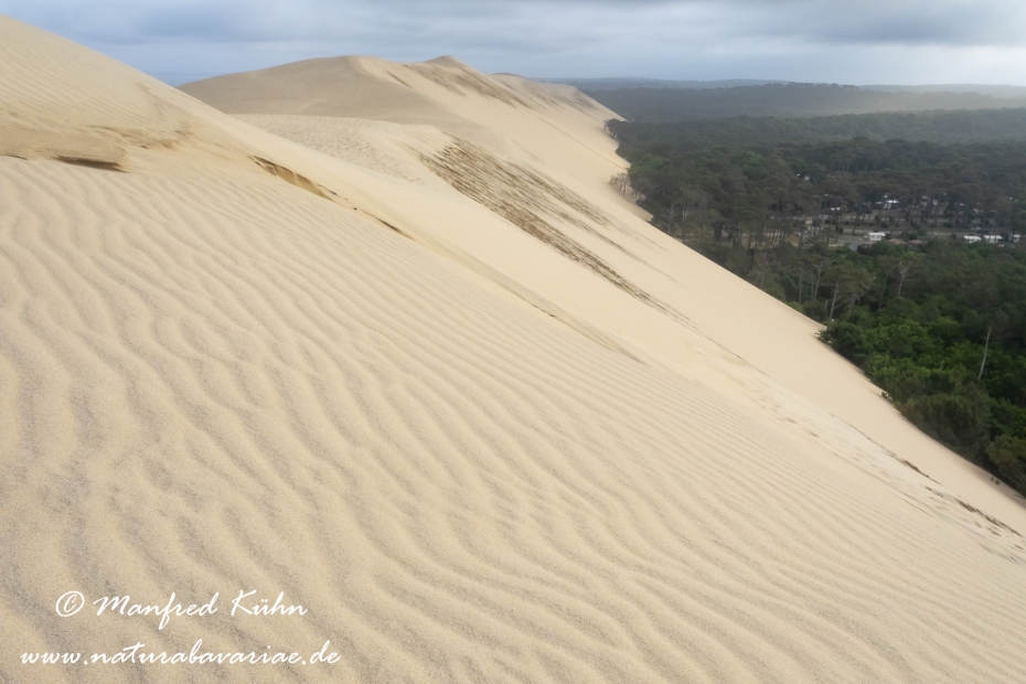 Dune du Pilat (Frankreich)_0078