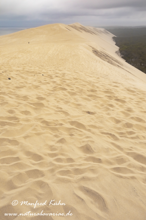 Dune du Pilat (Frankreich)_0097