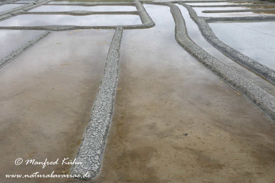 Pays de la Loire (Frankreich)_0017
