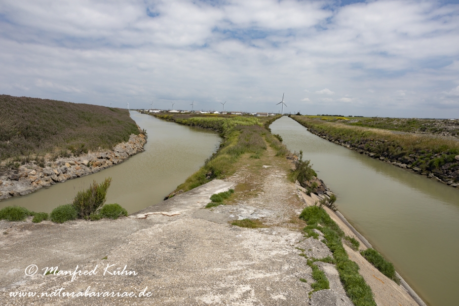 Pays de la Loire (Frankreich)_0020