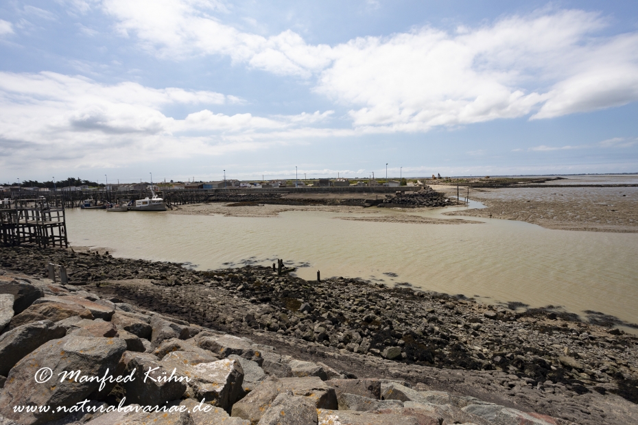 Pays de la Loire (Frankreich)_0022