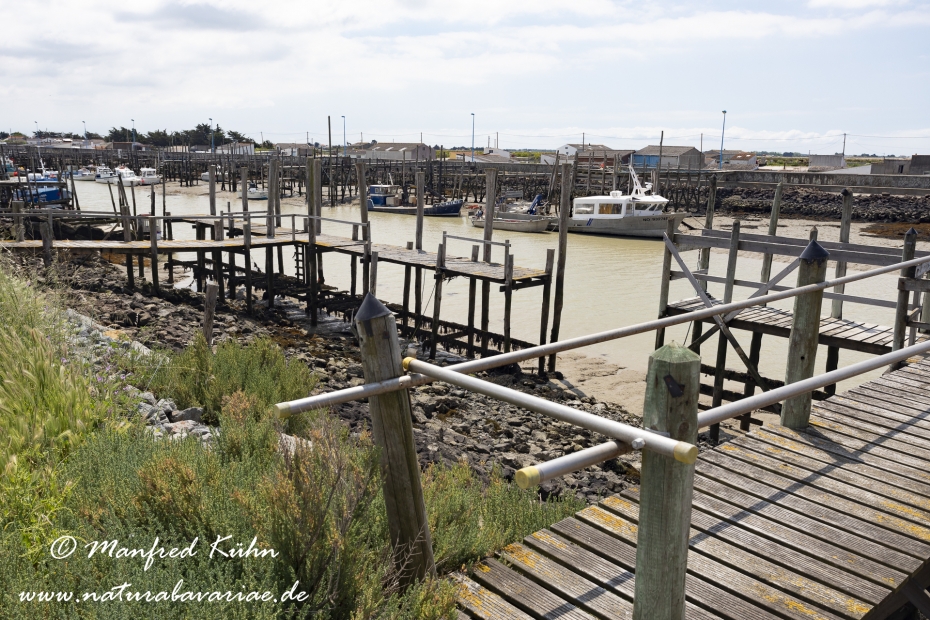 Pays de la Loire (Frankreich)_0023