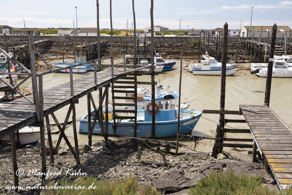 Pays de la Loire (Frankreich)_0025