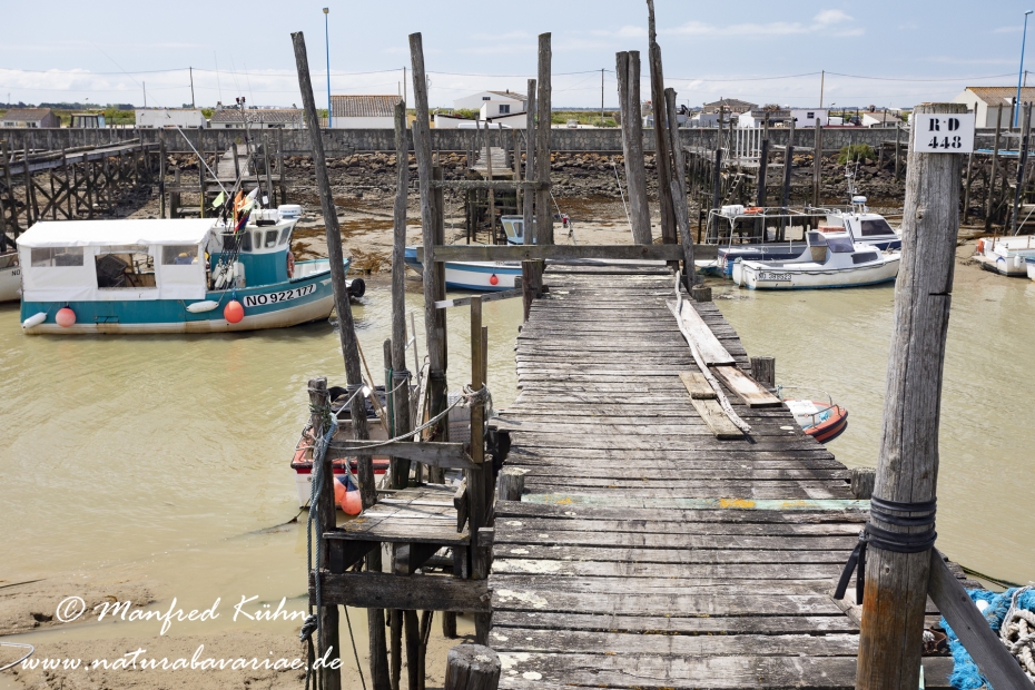 Pays de la Loire (Frankreich)_0027