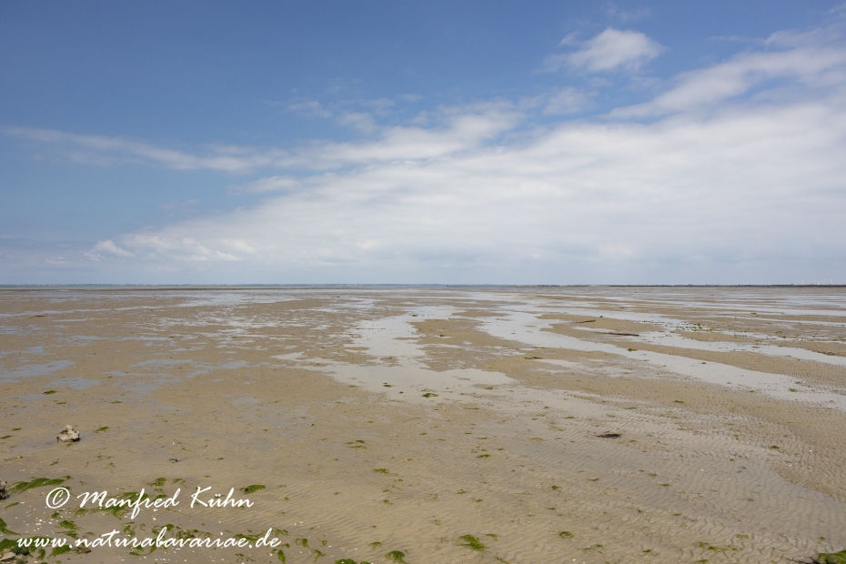 Pays de la Loire (Frankreich)_0032
