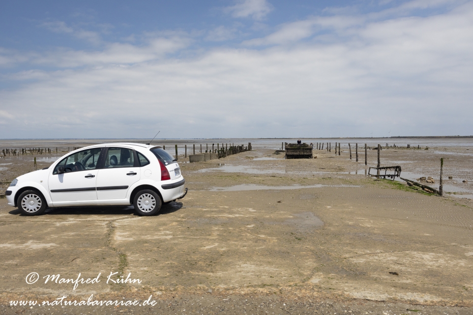 Pays de la Loire (Frankreich)_0035