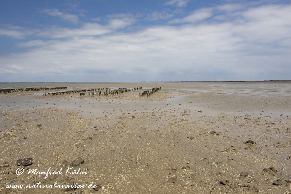 Pays de la Loire (Frankreich)_0039