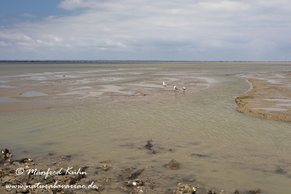 Pays de la Loire (Frankreich)_0044