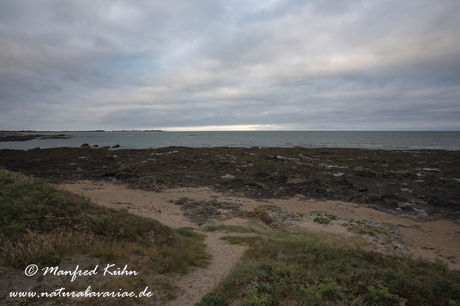 Pays de la Loire (Frankreich)_0053