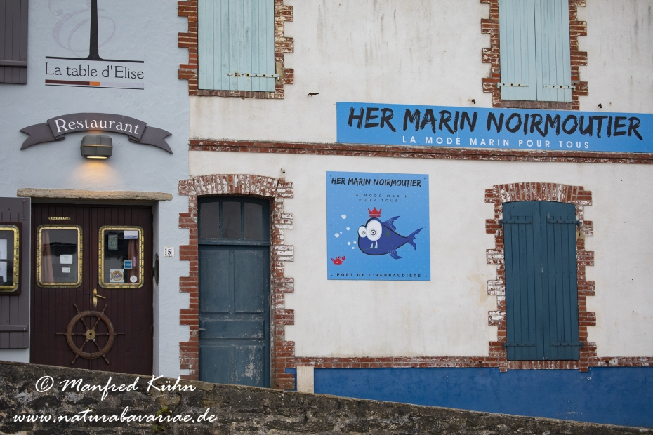 Pays de la Loire (Frankreich)_0059