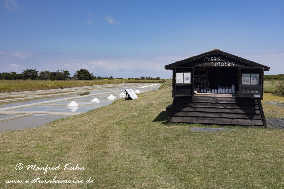 Pays de la Loire (Frankreich)_0070