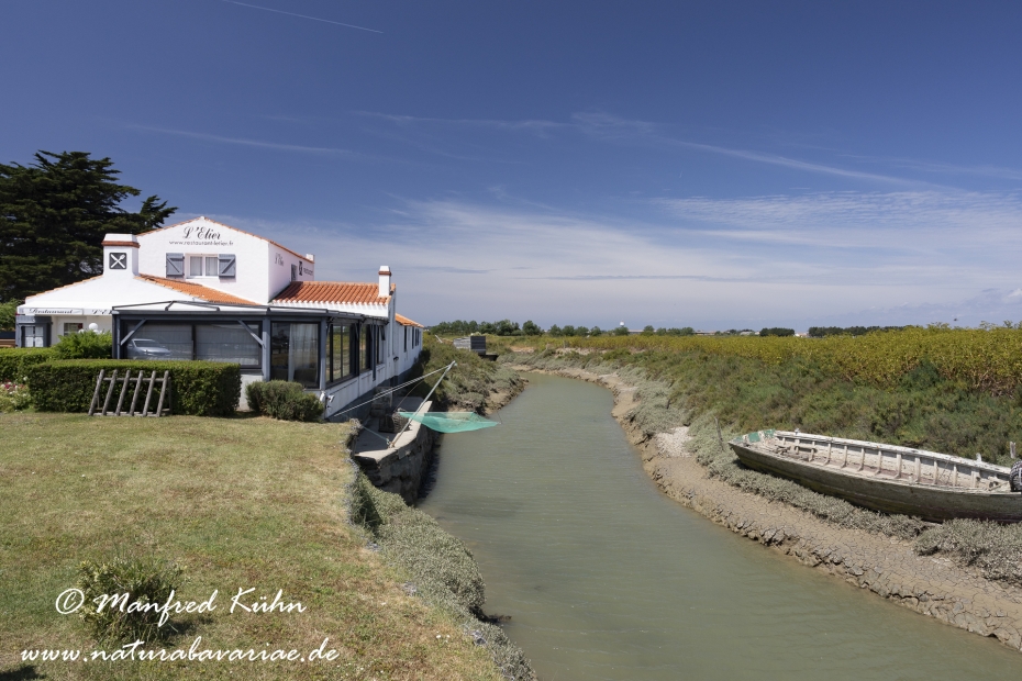 Pays de la Loire (Frankreich)_0071