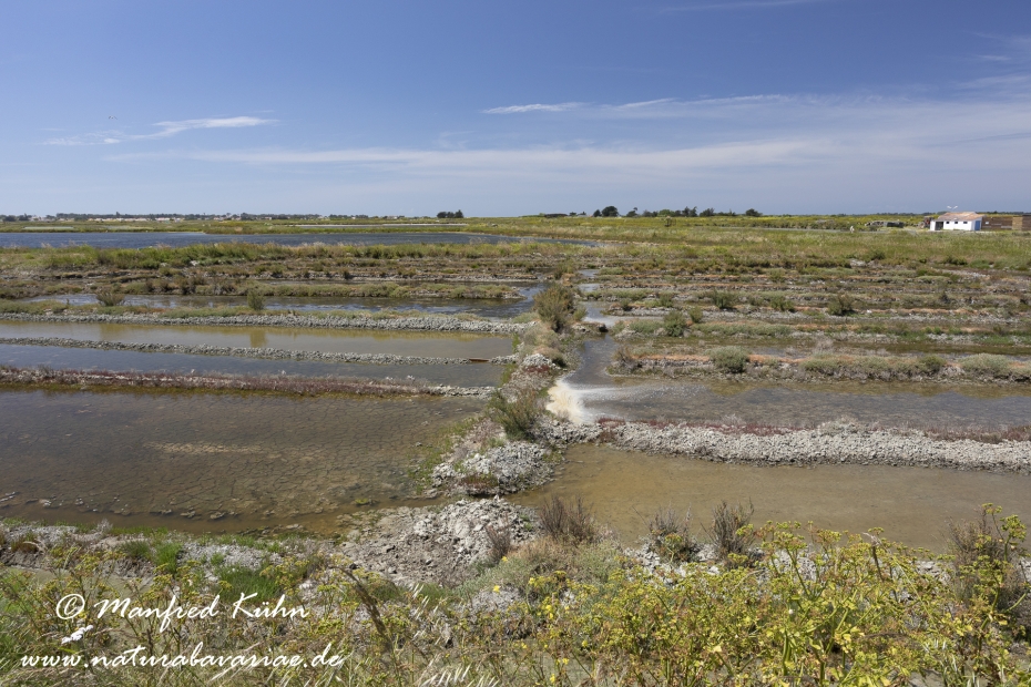 Pays de la Loire (Frankreich)_0072