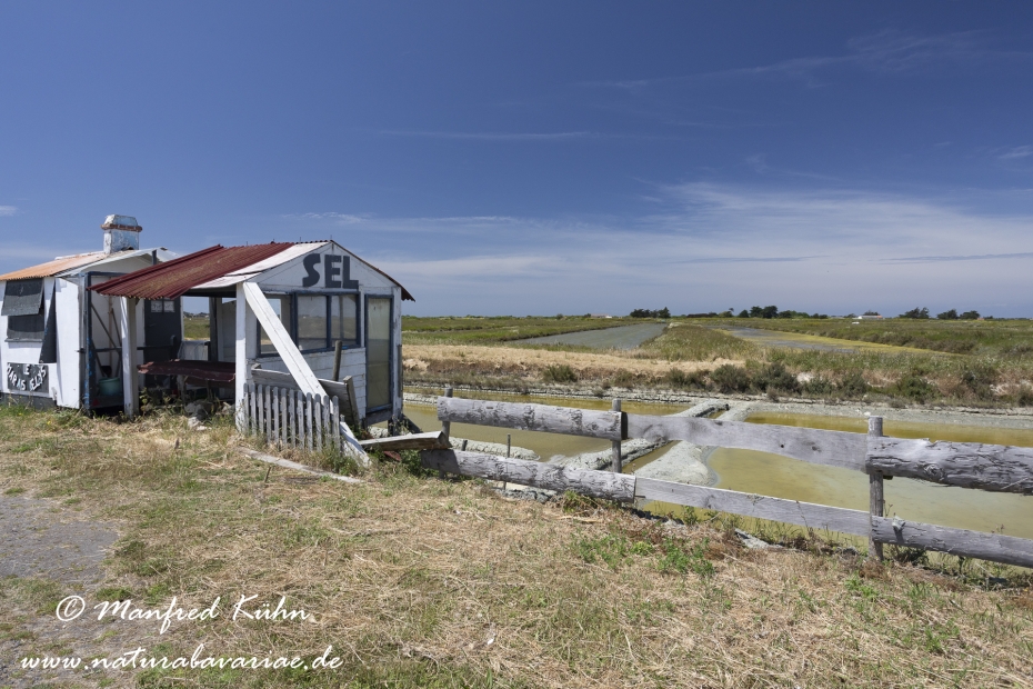 Pays de la Loire (Frankreich)_0075