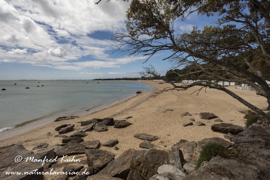 Pays de la Loire (Frankreich)_0137