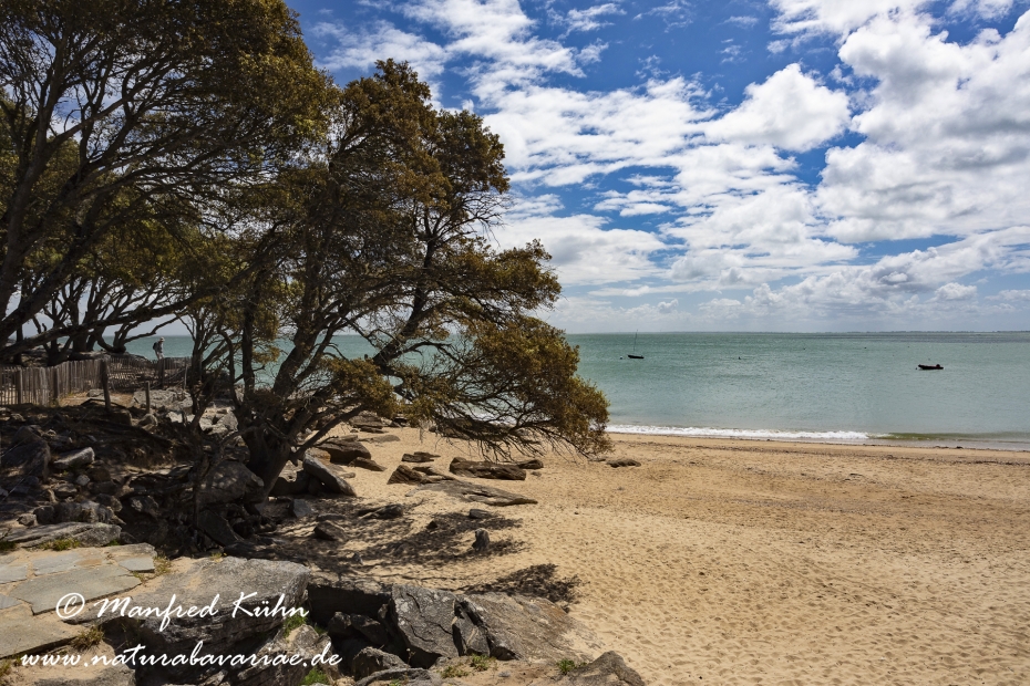 Pays de la Loire (Frankreich)_0141