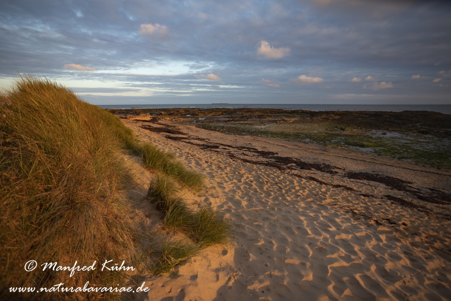 Pays de la Loire (Frankreich)_0164
