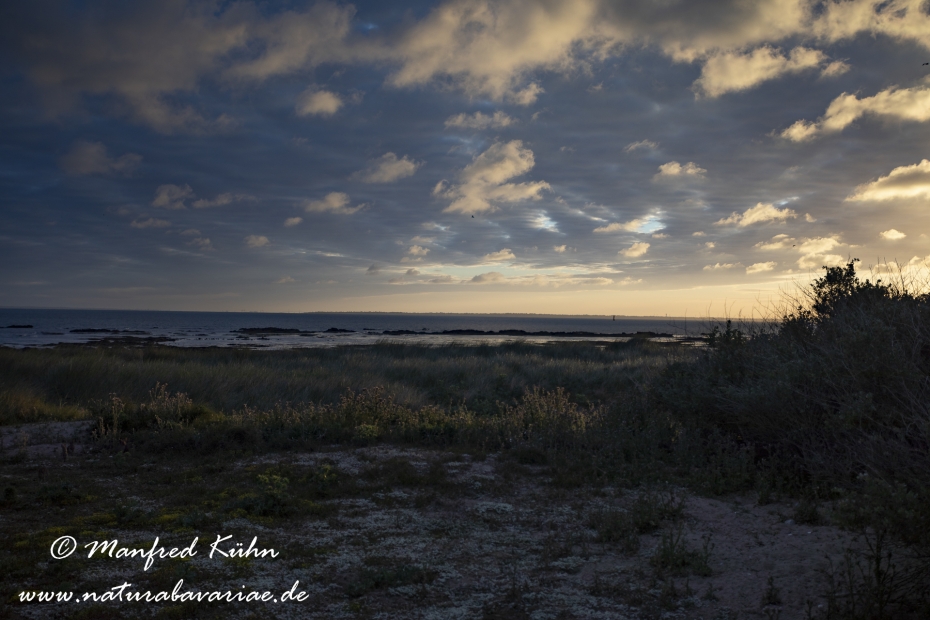 Pays de la Loire (Frankreich)_0166