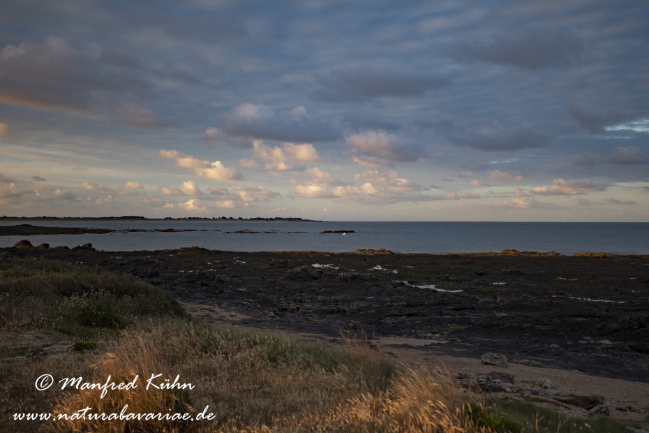 Pays de la Loire (Frankreich)_0168