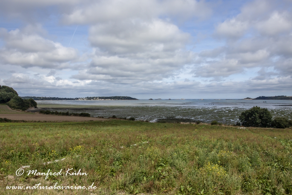 Roscoff (Frankreich)_0011