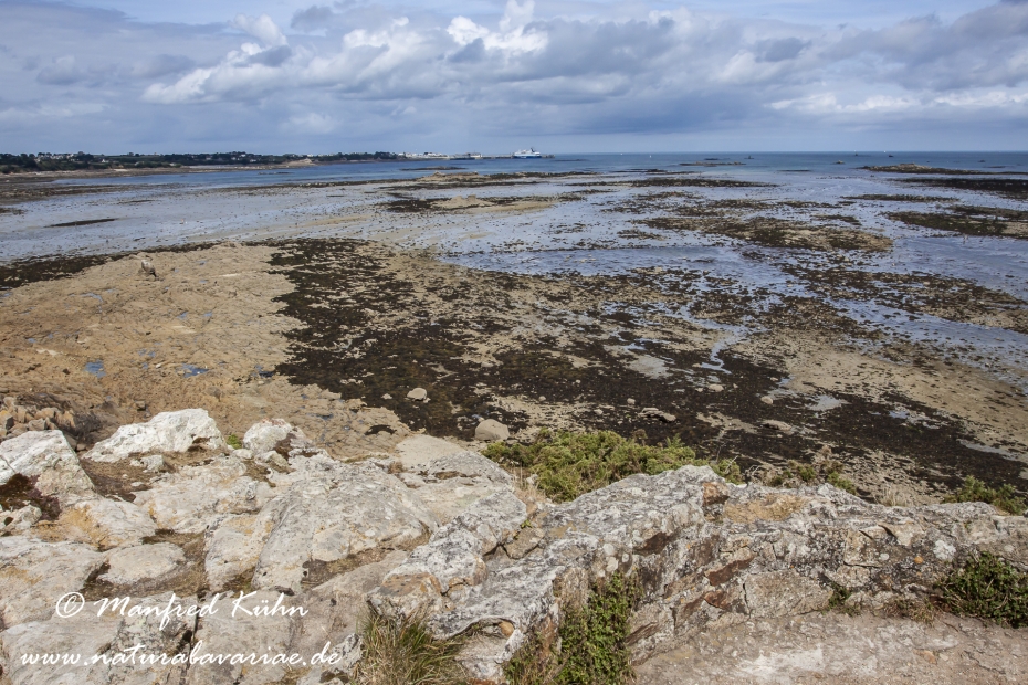 Roscoff (Frankreich)_0013