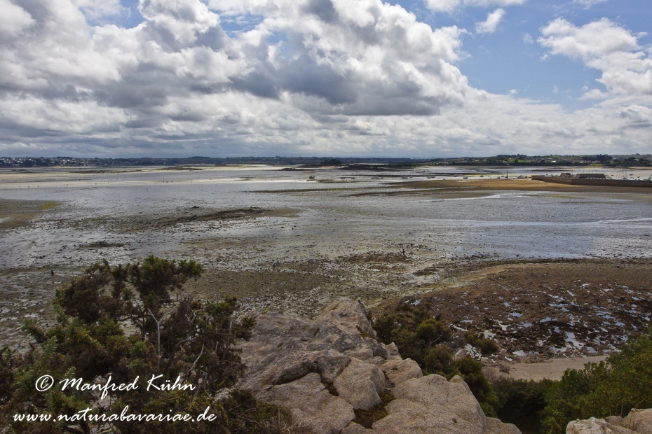 Roscoff (Frankreich)_0018