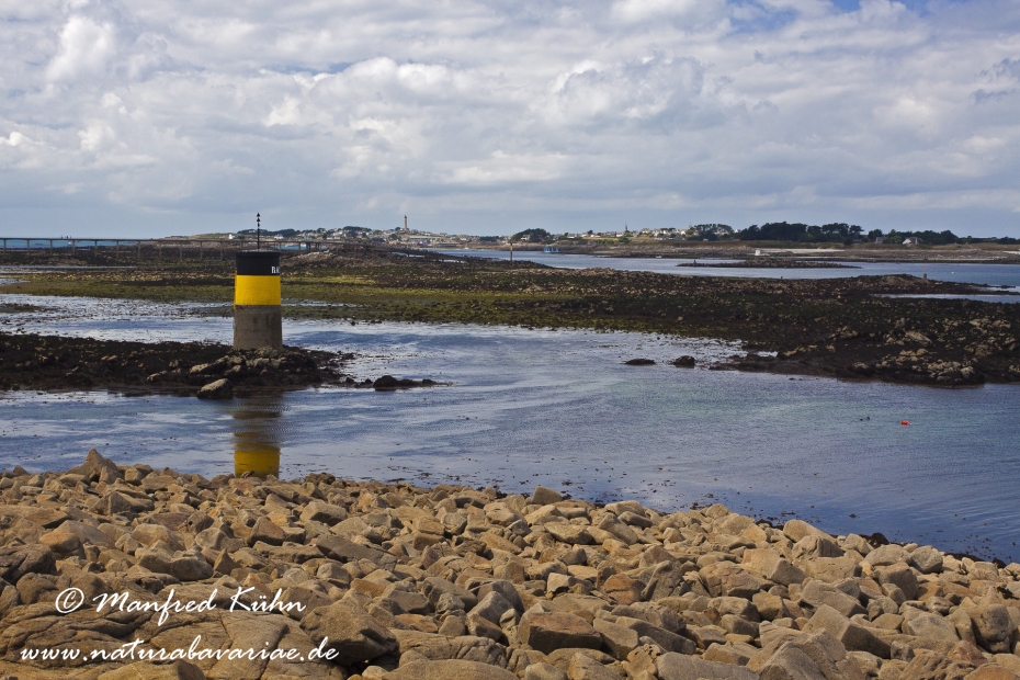 Roscoff (Frankreich)_0022