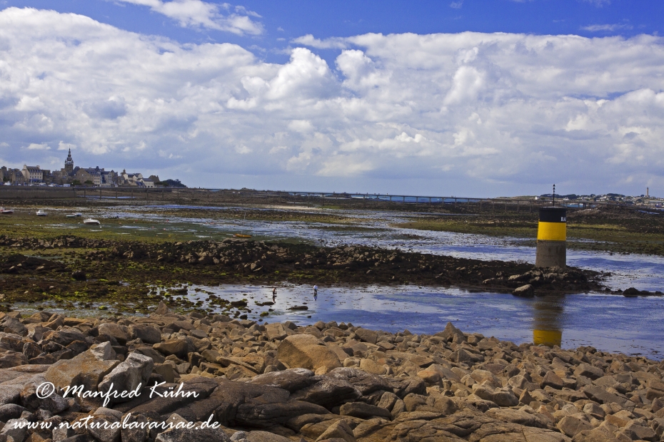 Roscoff (Frankreich)_0023
