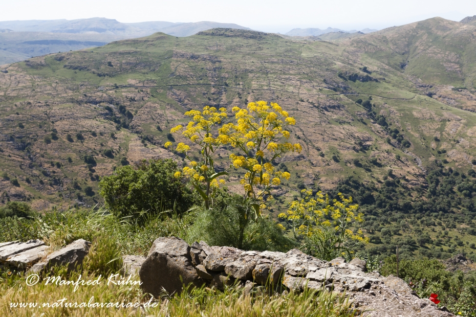 Lesbos (Griechenland)_0099
