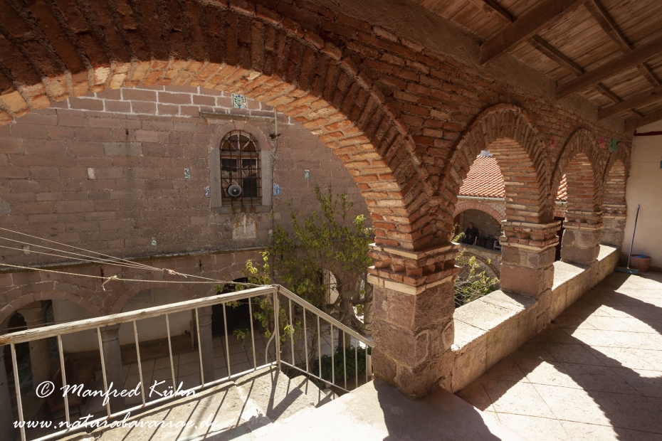 Lesbos (Griechenland)_0114