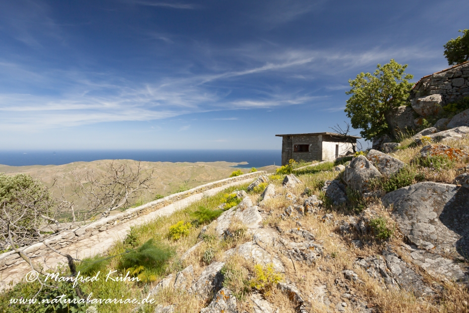 Lesbos (Griechenland)_0134