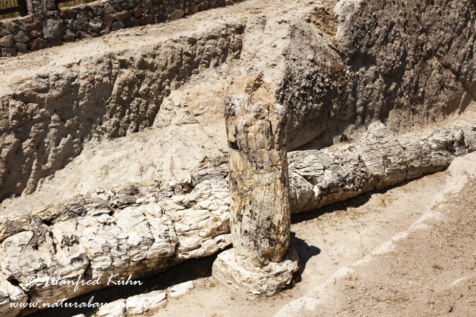 Lesbos (Griechenland)_0140