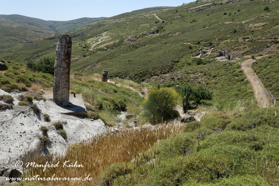 Lesbos (Griechenland)_0157