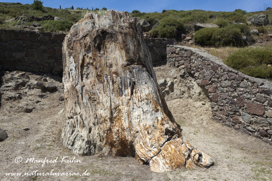 Lesbos (Griechenland)_0163
