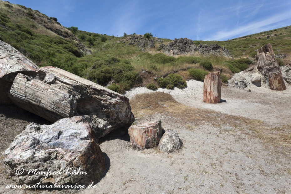 Lesbos (Griechenland)_0164