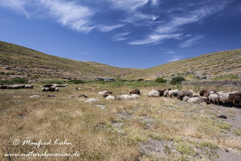 Lesbos (Griechenland)_0182
