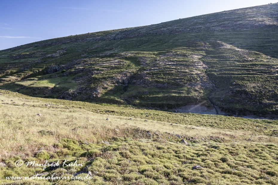 Lesbos (Griechenland)_0185