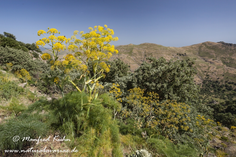 Lesbos (Griechenland)_0197
