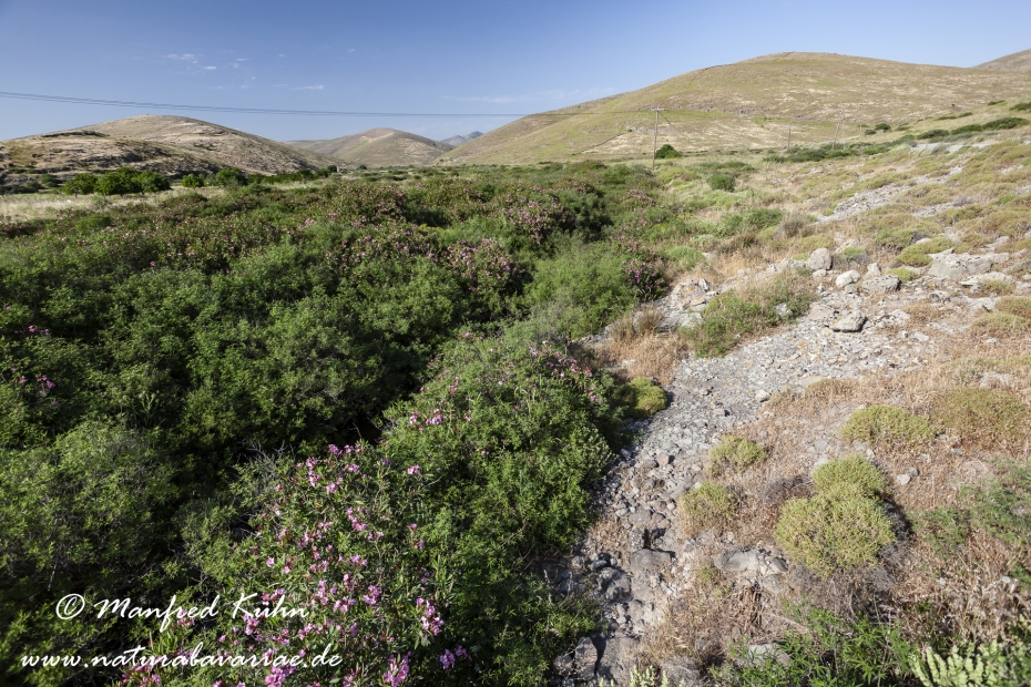 Lesbos (Griechenland)_0199