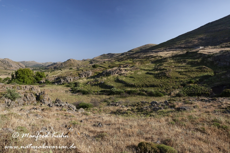 Lesbos (Griechenland)_0202