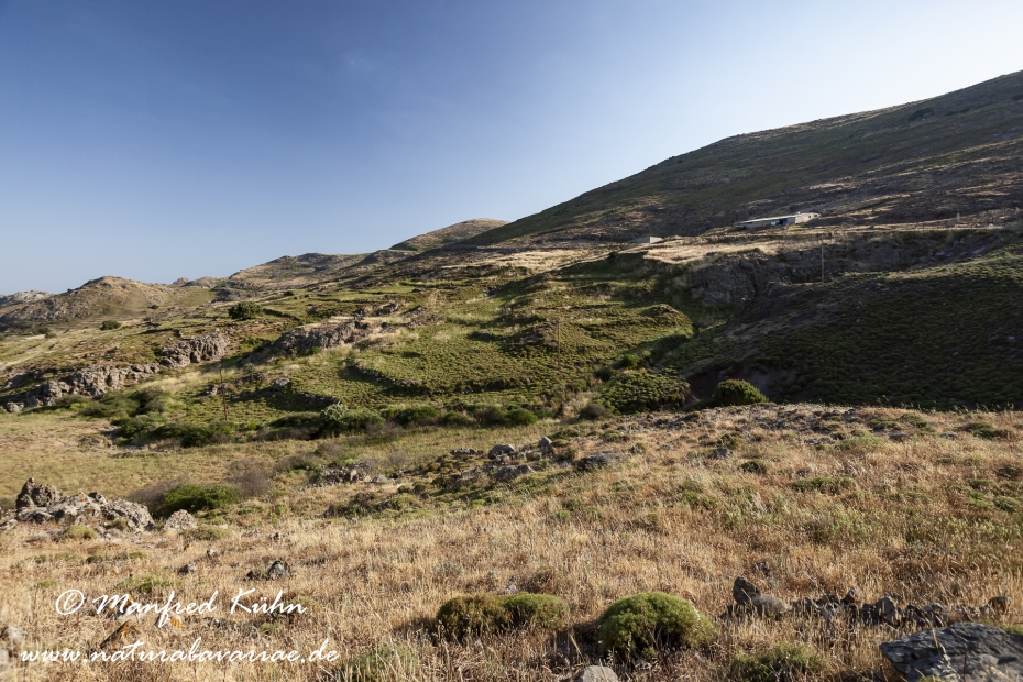Lesbos (Griechenland)_0203