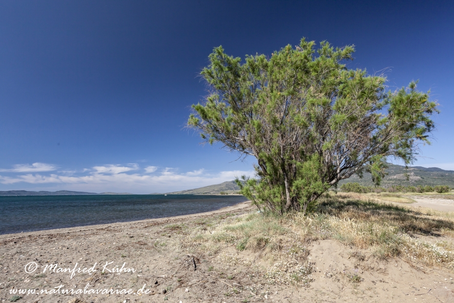 Lesbos (Griechenland)_0207