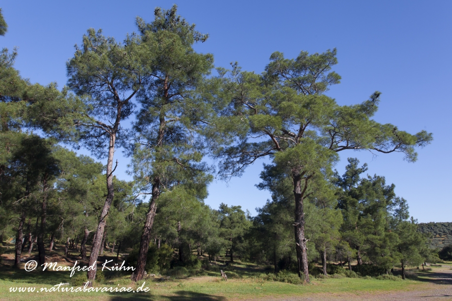 Lesbos (Griechenland)_0217