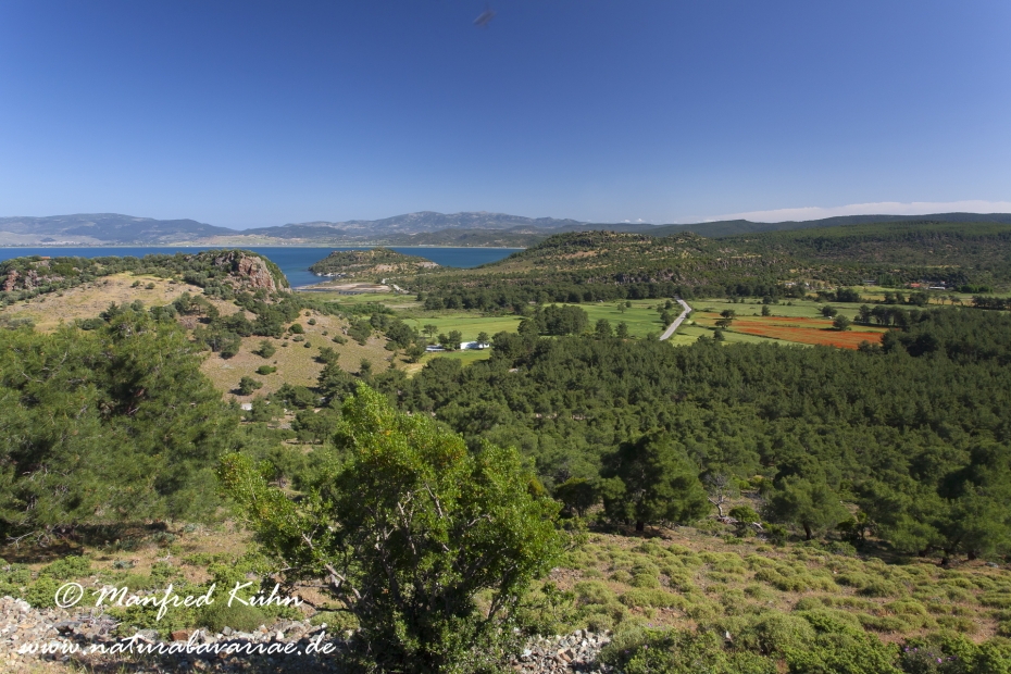 Lesbos (Griechenland)_0224
