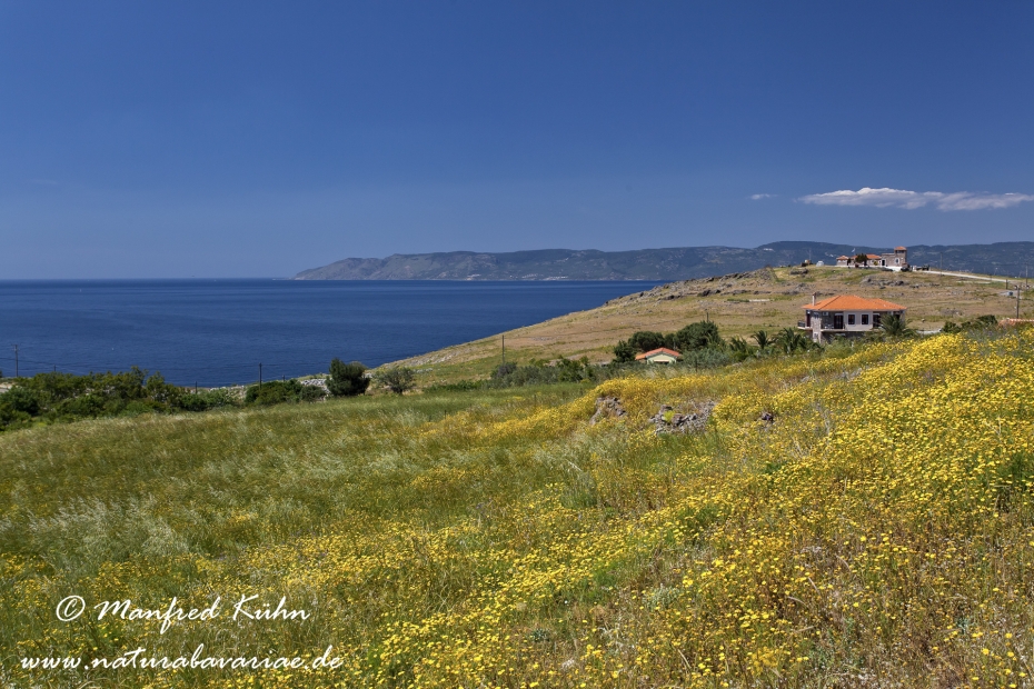 Lesbos (Griechenland)_0292