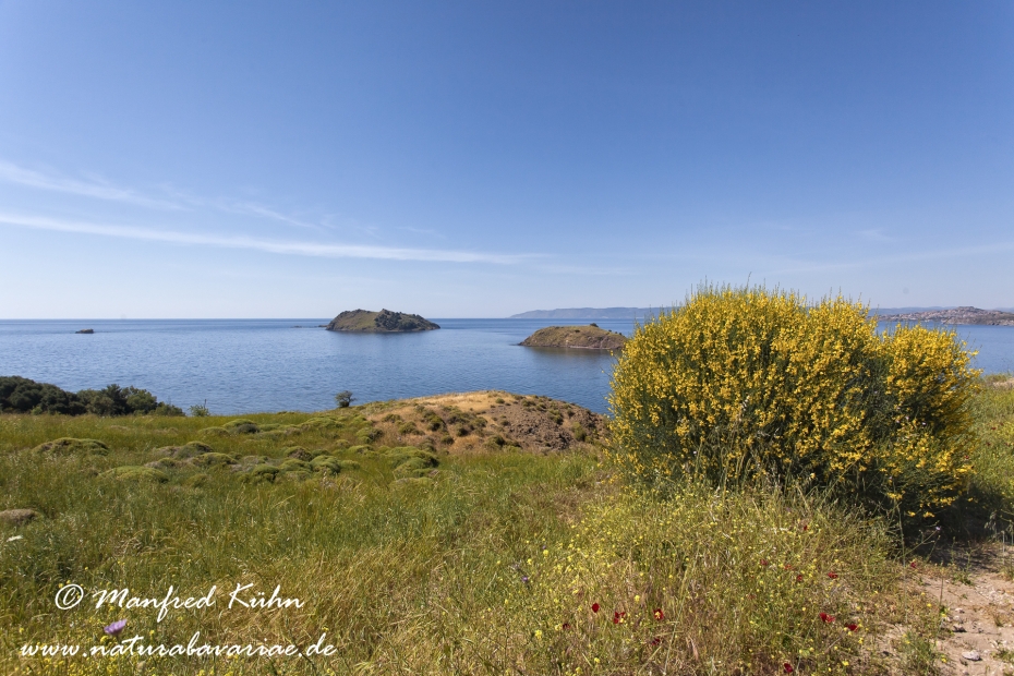 Lesbos (Griechenland)_0295