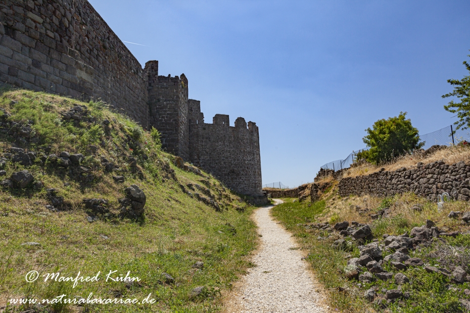 Lesbos (Griechenland)_0306